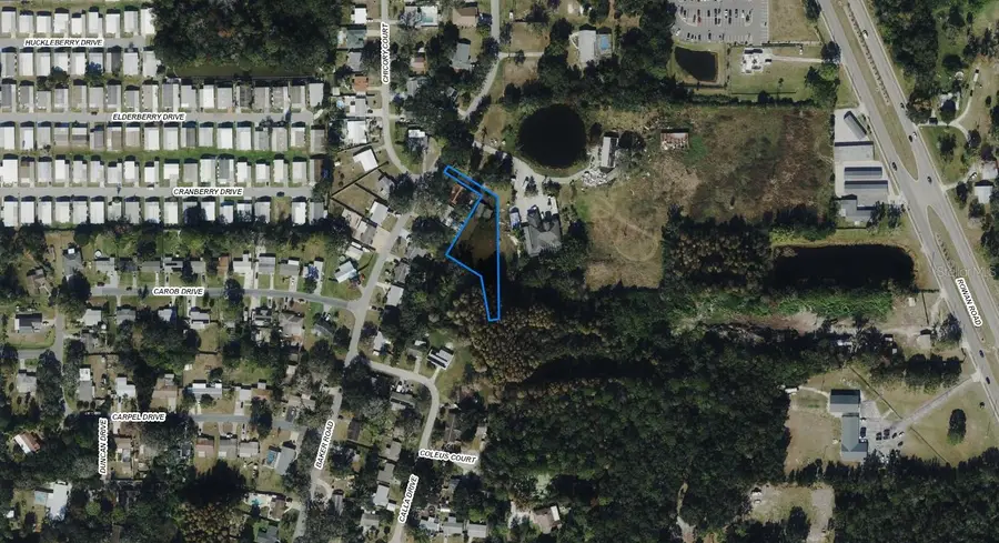 09-26-16-0020-00100-0023 Baker Road, New Port Richey, FL 34653 - #2