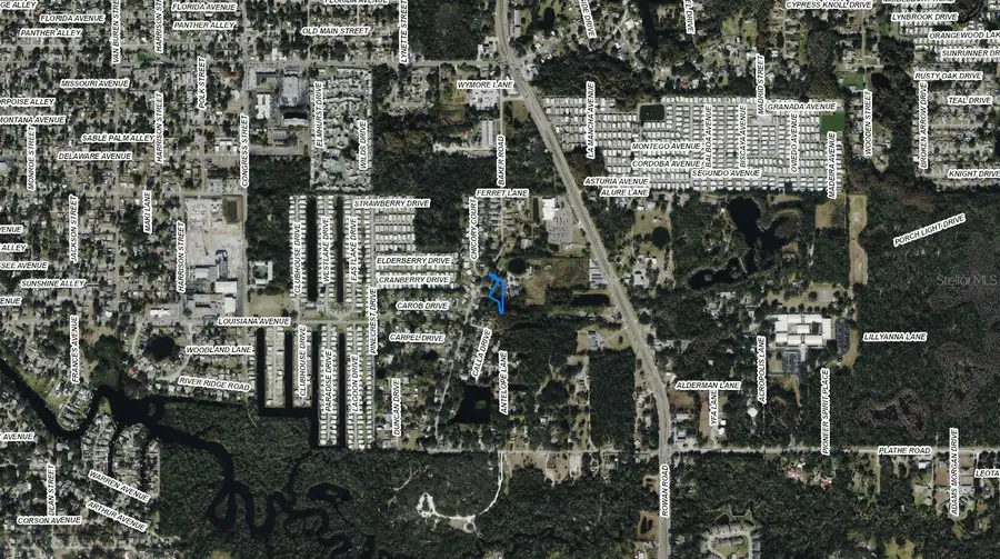 09-26-16-0020-00100-0023 Baker Road, New Port Richey, FL 34653 - #3