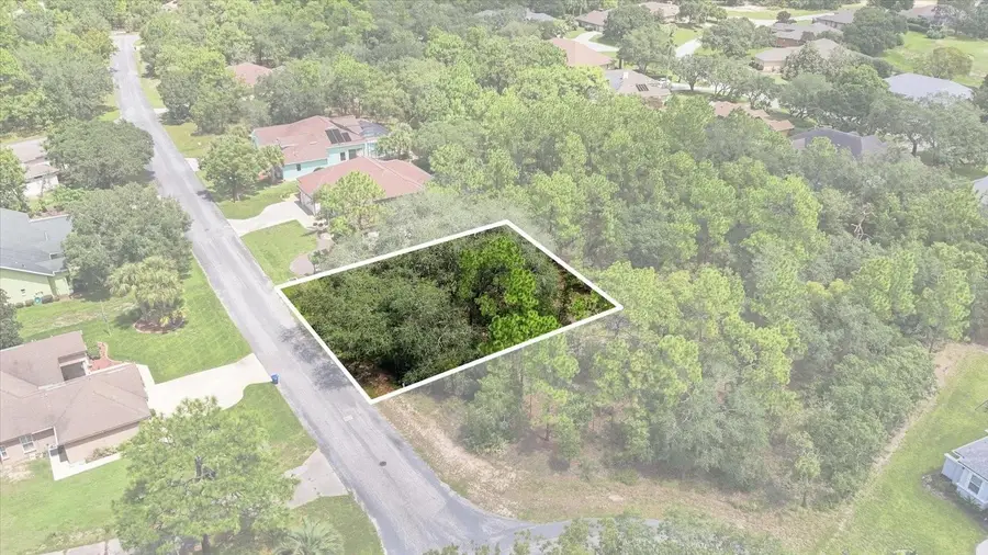 7 Honeysuckle Court S, Homosassa, FL 34446 - #3