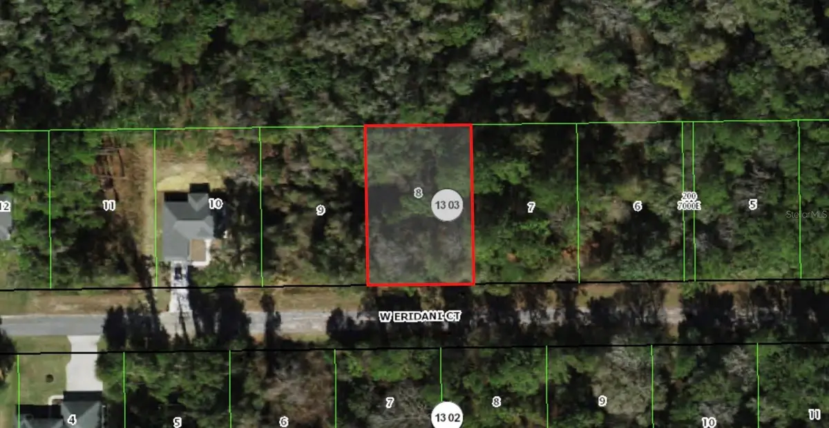 303 W Eridani Court, Citrus Springs, FL 34434 - #1