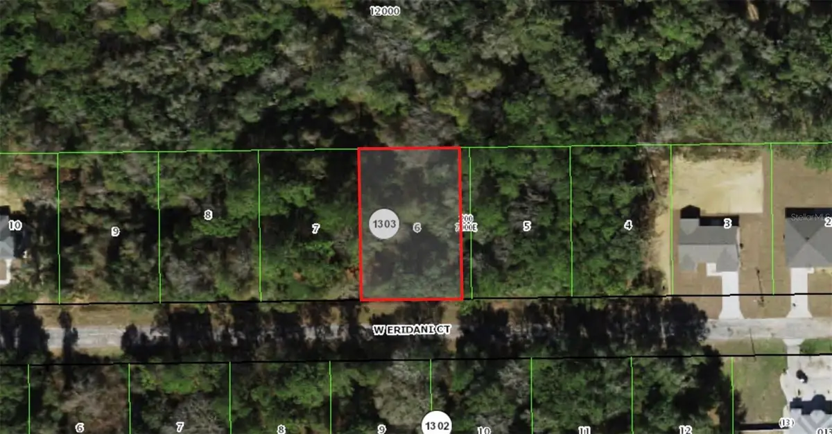 253 W Eridani Court, Citrus Springs, FL 34434 - #1