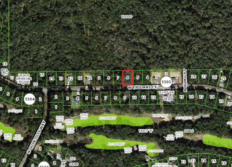253 W Eridani Court, Citrus Springs, FL 34434 - #3