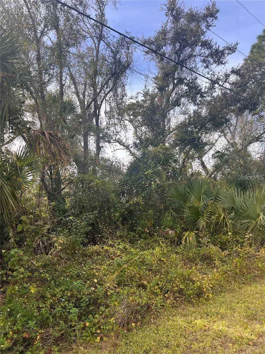 Firebrand Road, North Port, FL 34288 - #2