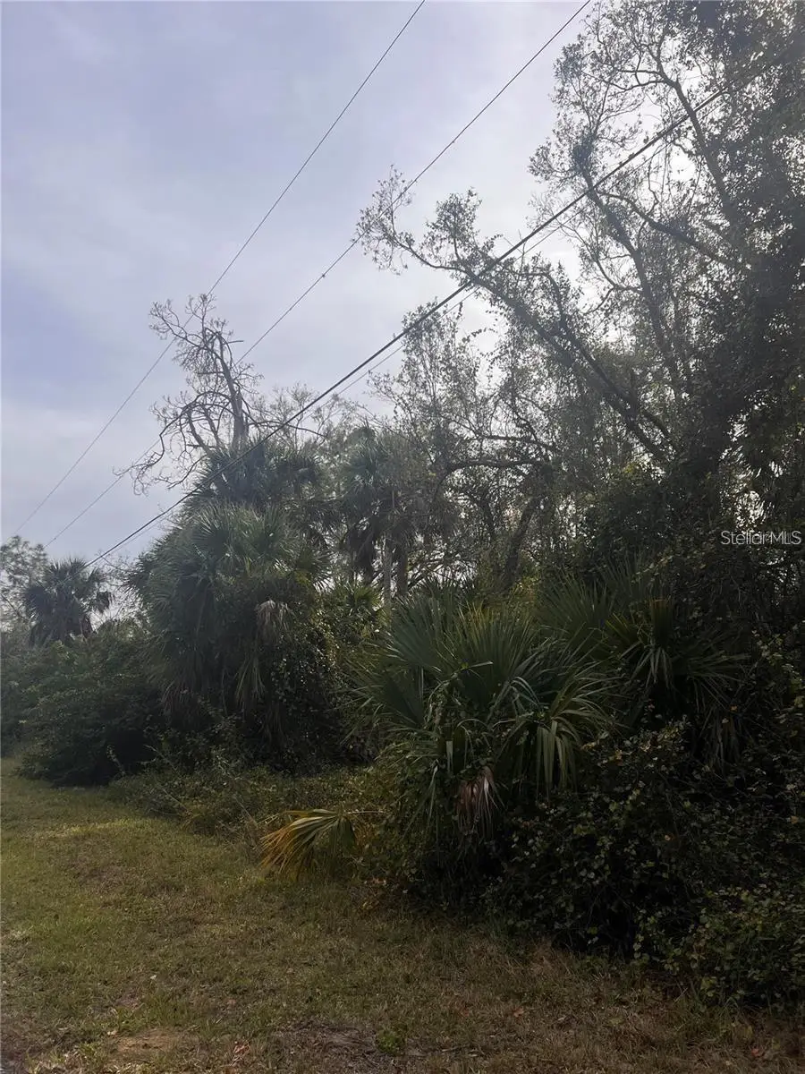 Firebrand Road, North Port, FL 34288 - #3