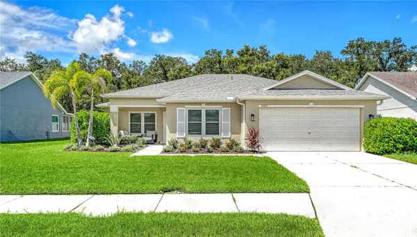 4005 Douglas Hill Place, PARRISH, FL 34219