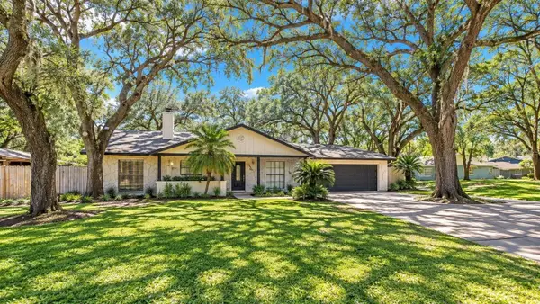 7405 Williams Road, SEFFNER, FL 33584