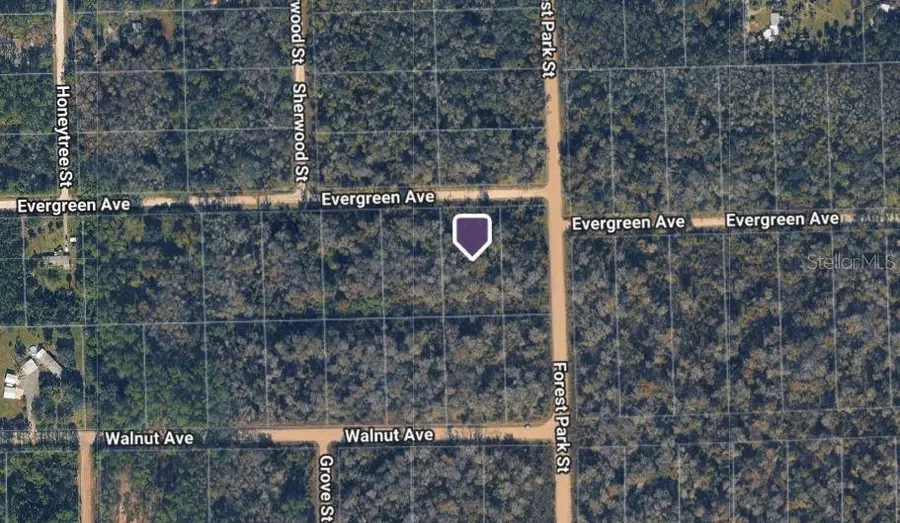 4001 Evergreen Avenue, Bunnell, FL 32110 - #3