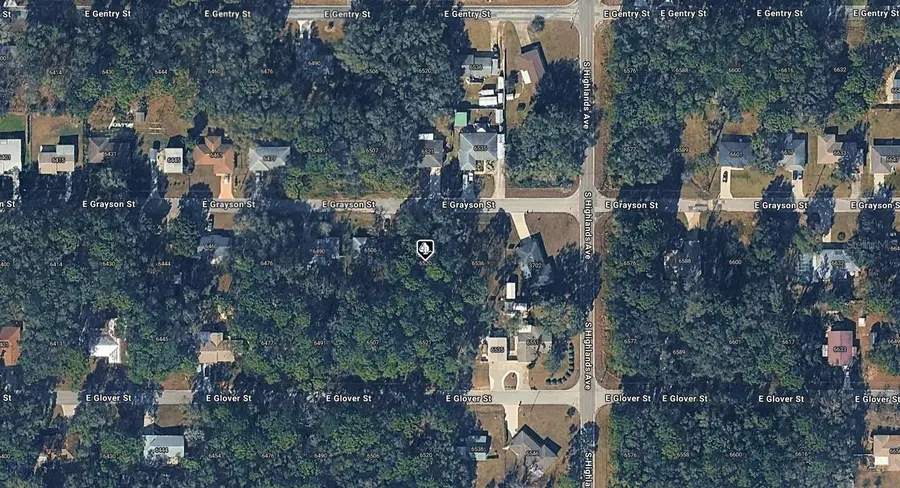 6520 E Grayson Street, Inverness, FL 34452 - #2