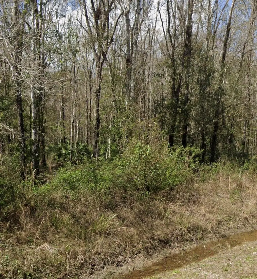 10160 Weatherby Avenue, Hastings, FL 32145 - #3