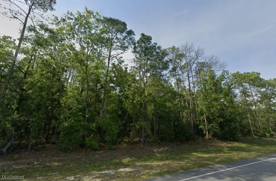 NE Hwy 351, Old Town, FL 32680 - #2
