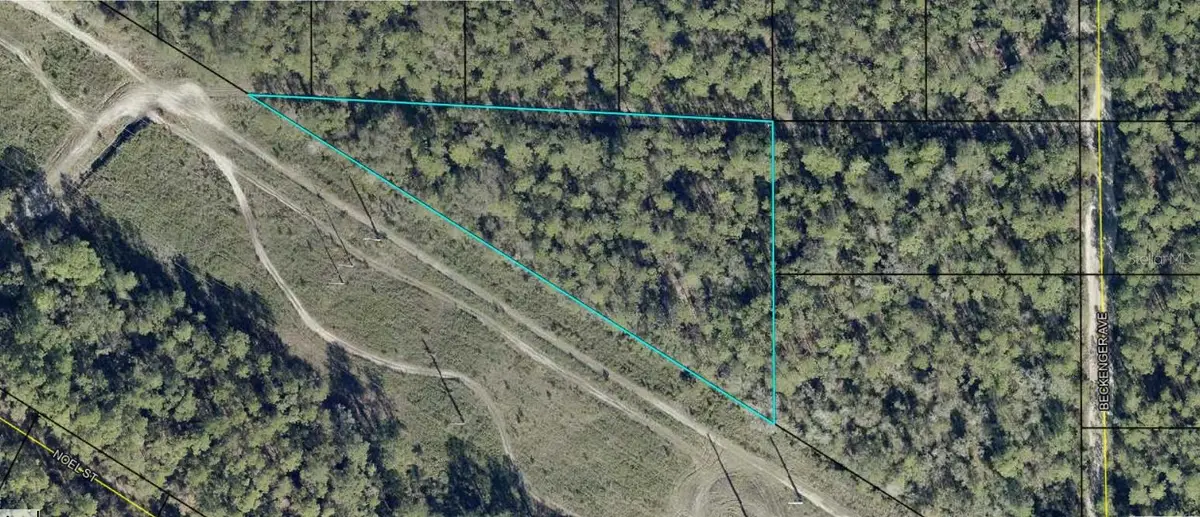 Eddie Street, Hastings, FL 32145 - #1
