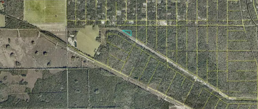 Eddie Street, Hastings, FL 32145 - #3
