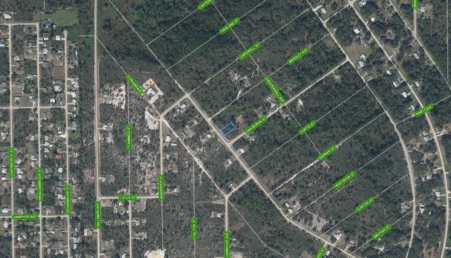 423 Nichele Boulevard, Lake Placid, FL 33852 - #2