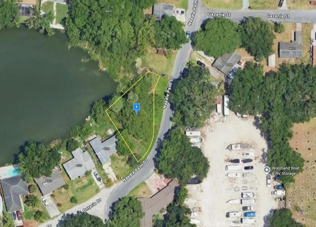 4545 Needle Palm Drive, New Port Richey, FL 34652 - #1
