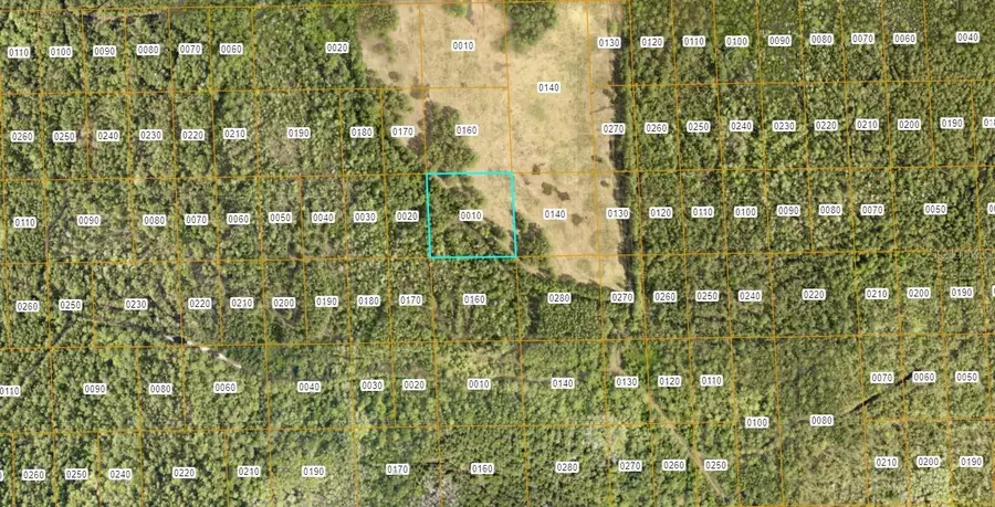 7106-01-04-0010 No Street, Deland, FL 32724 - #2