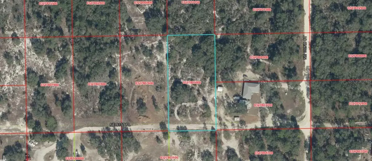 NE 91st Place, Bronson, FL 32621 - #1