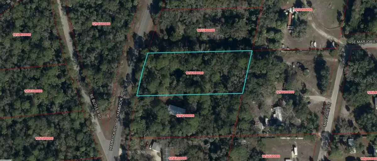 NE 55th Court, Inglis, FL 34449 - #1