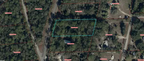 NE 55th Court, INGLIS, FL 34449