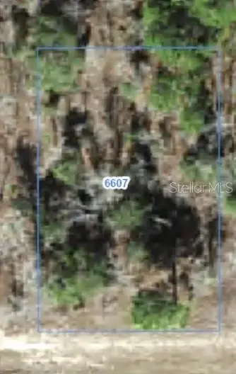 6607 N Bedstrow Boulevard, Citrus Springs, FL 34434 - #1