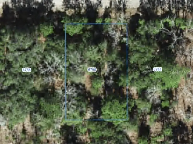 6750 N Darlington Drive, Citrus Springs, FL 34434 - #1