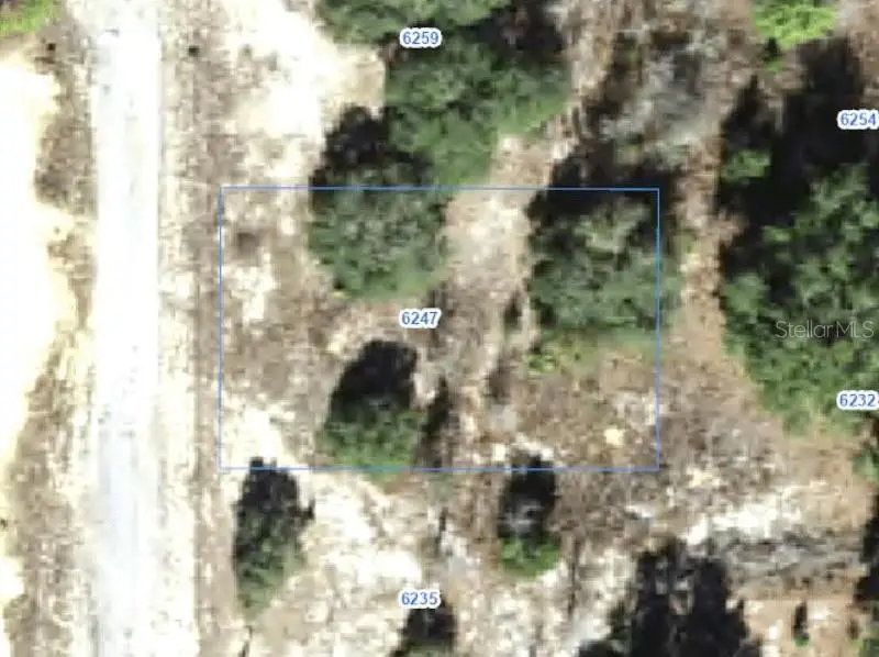 6247 N Hobson Terrace, Citrus Springs, FL 34433 - #1