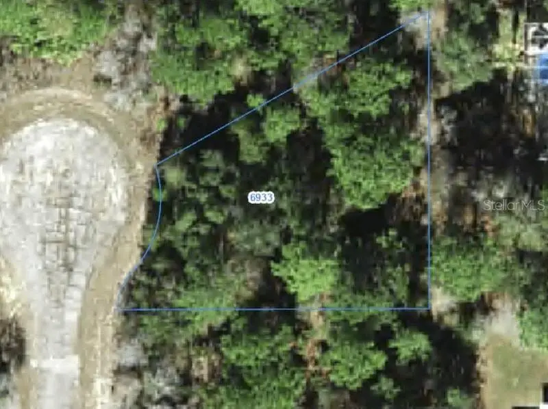 6933 N Steward Point, Citrus Springs, FL 34434 - #1