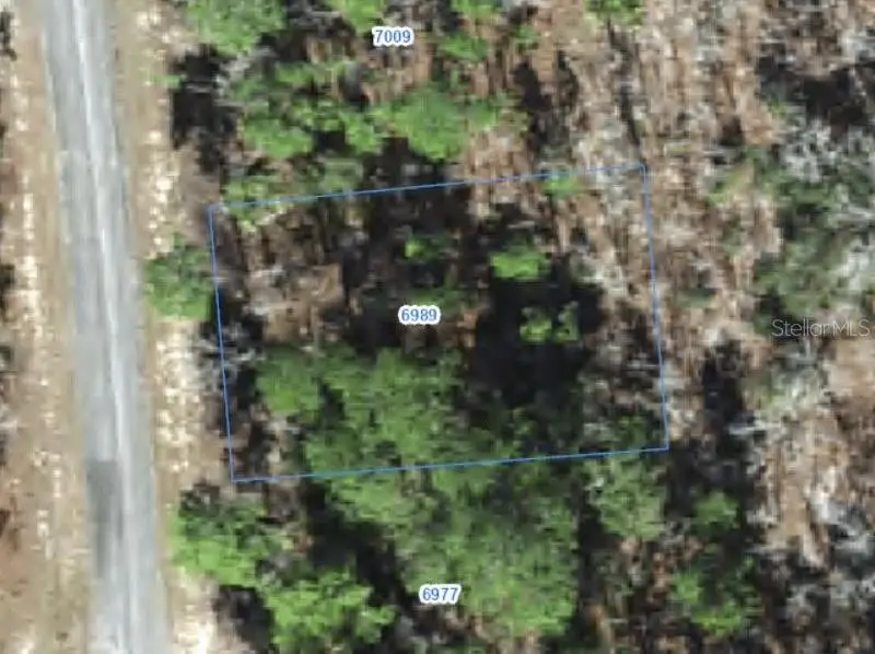 6989 N Foxdale Drive, Citrus Springs, FL 34434 - #1
