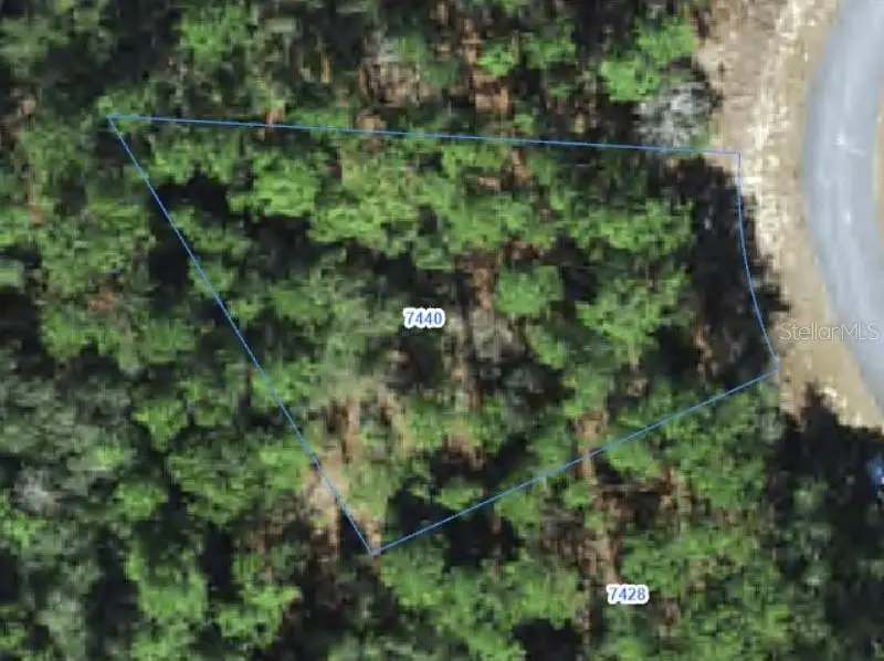7440 N Sugarberry Drive, Citrus Springs, FL 34434 - #1