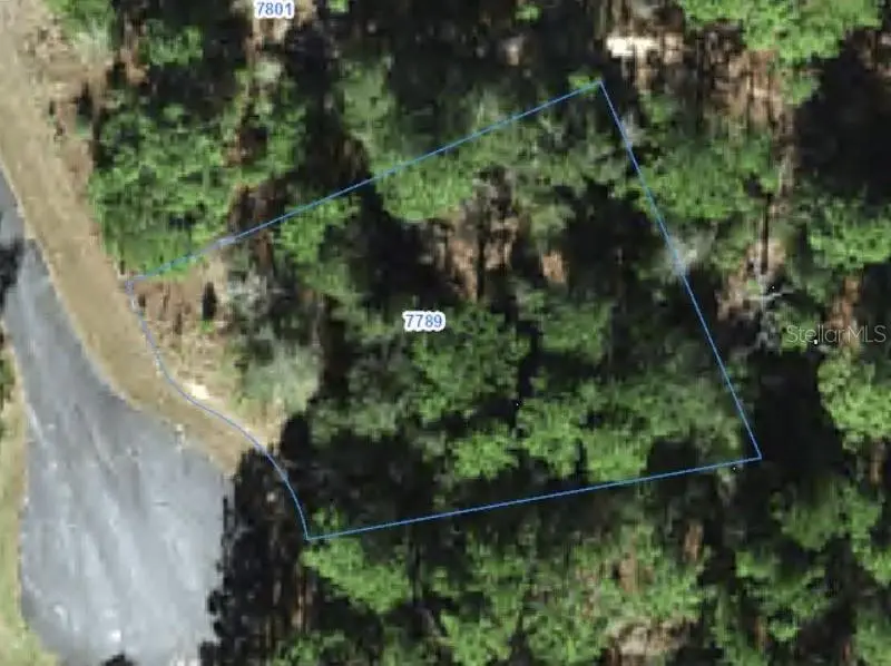 7789 N Wanda Point, Citrus Springs, FL 34434 - #1