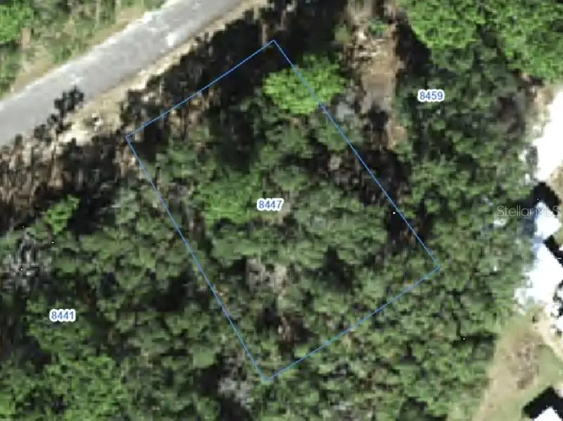 8447 N Tempest Drive, Citrus Springs, FL 34433 - #1