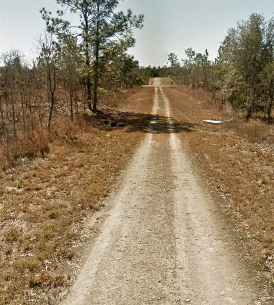 SE 23rd Place, Williston Highlands, FL 32668 - #3