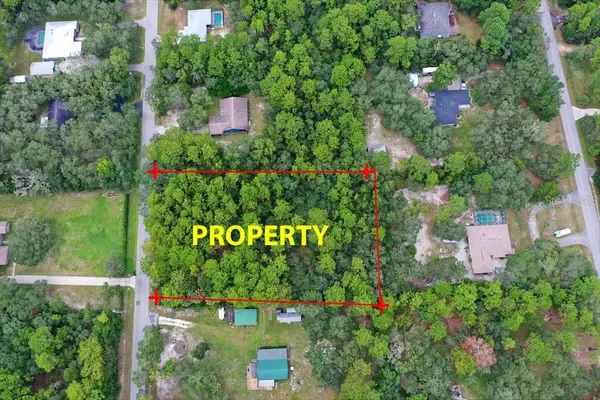 2659 S Bolton Avenue, HOMOSASSA, FL 34448