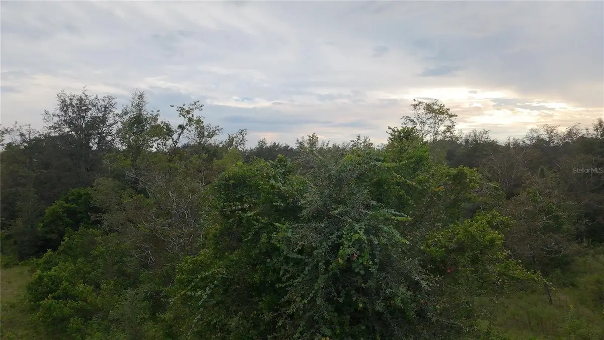 7388 N Manville Road, Citrus Springs, FL 34434 - #1