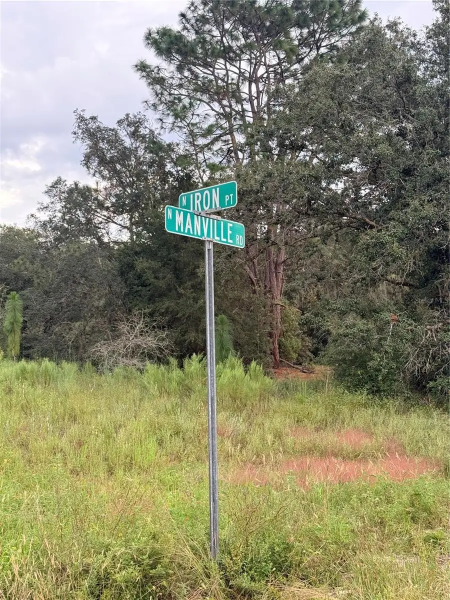 7388 N Manville Road, Citrus Springs, FL 34434 - #2