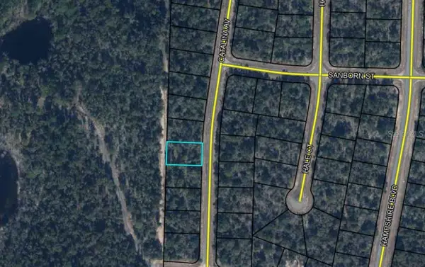 00000000-11-0746-0025 Catalina Avenue, CHIPLEY, FL 32428