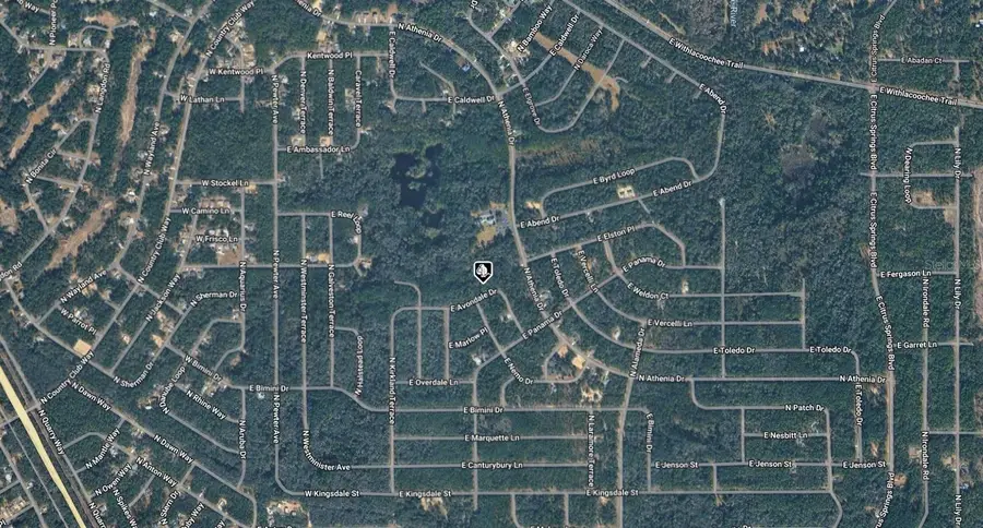 471 E Avondale Drive, Citrus Springs, FL 34434 - #3