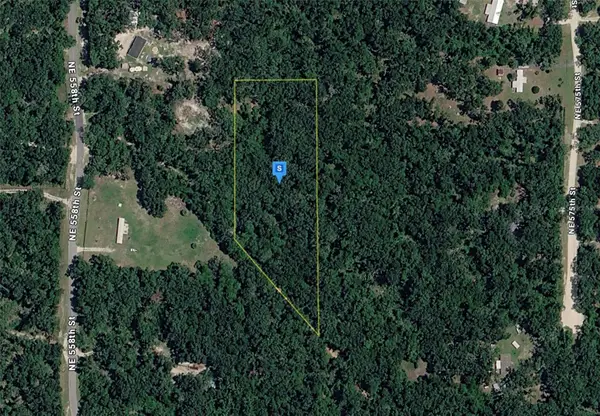 459 NE 558th Street, OLD TOWN, FL 32680
