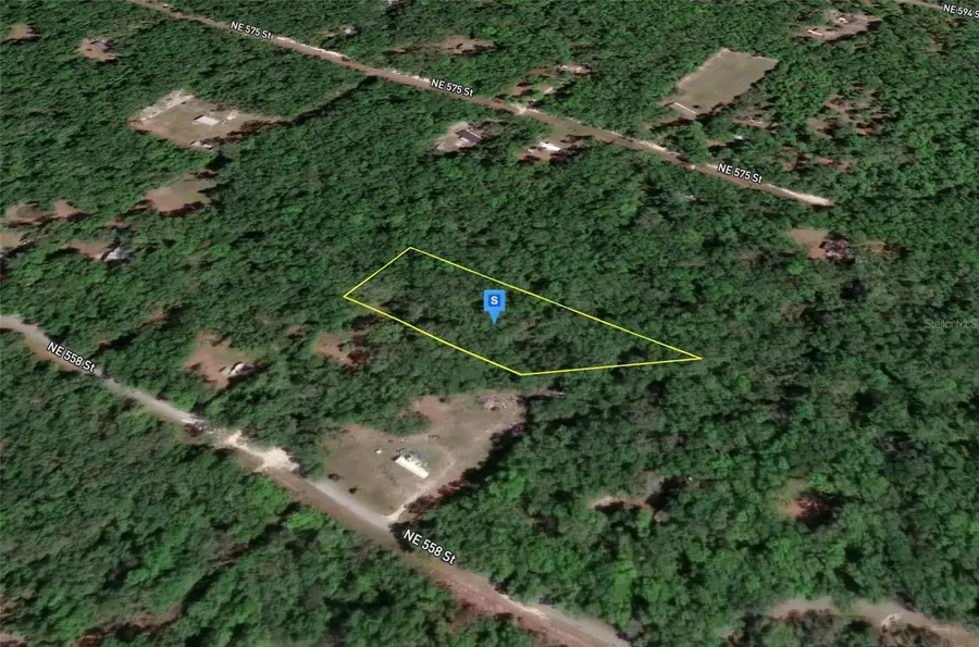 459 NE 558th Street, Old Town, FL 32680 - #2