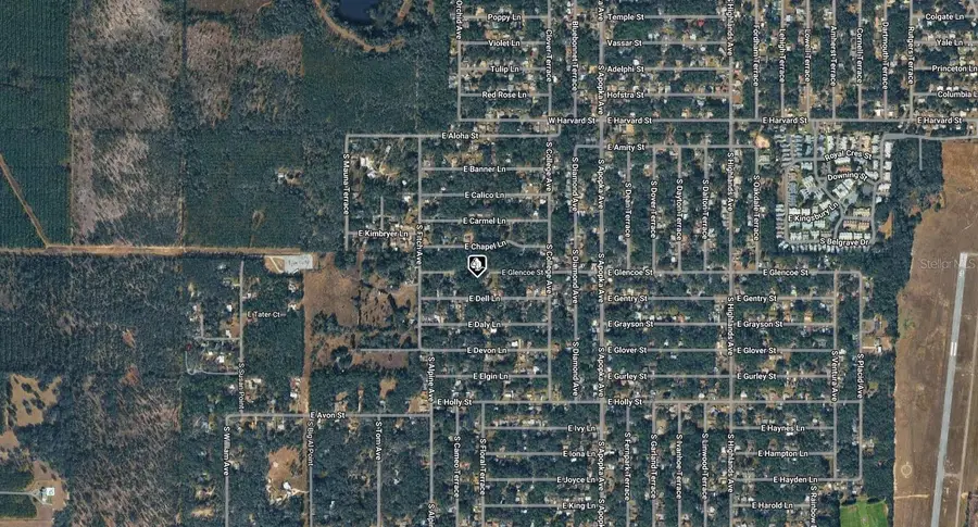 6034 E Glencoe Street, Inverness, FL 34452 - #3