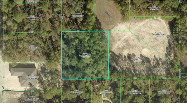 R01-221-17-3360-0653-0100 Meighan Court, WEEKI WACHEE, FL 34614