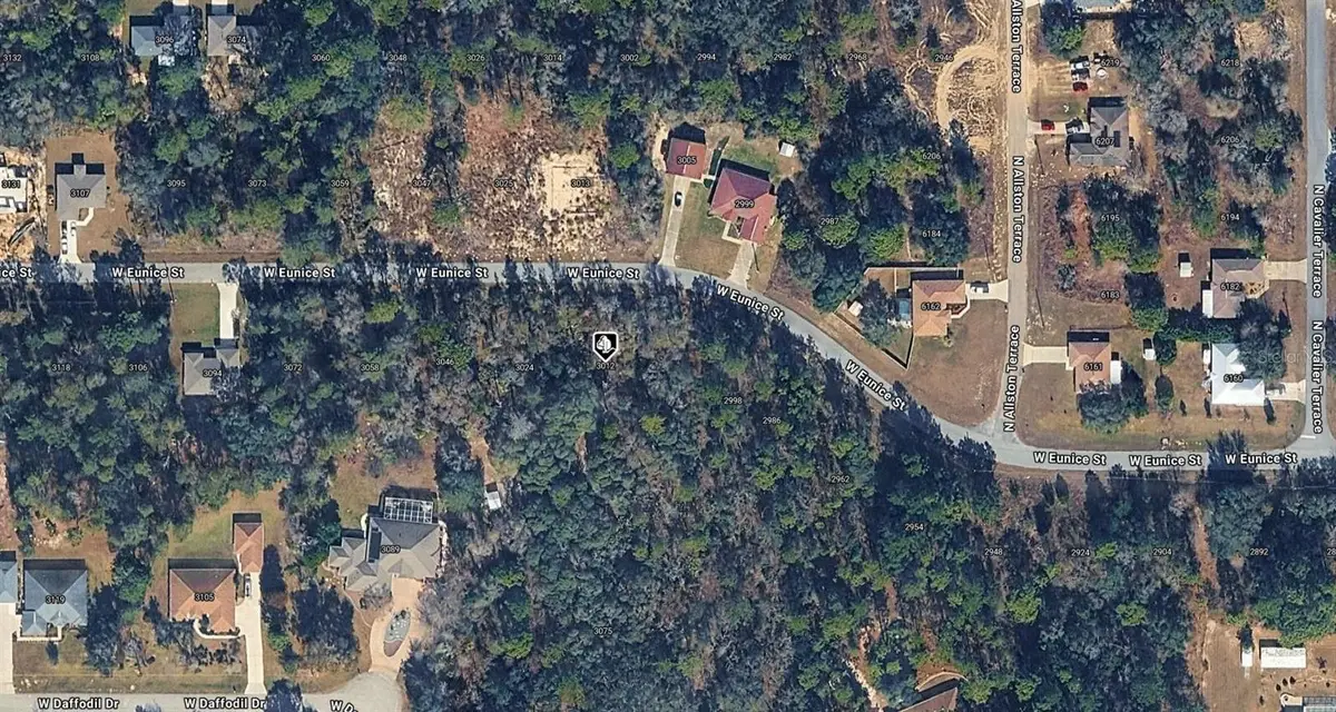 3012 W Eunice Drive, Dunnellon, FL 34433 - #1