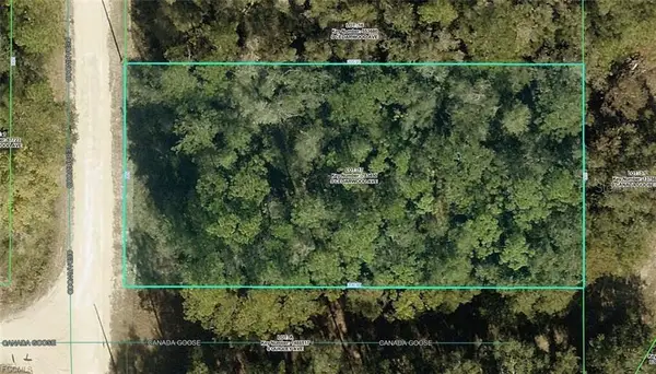 R01-221-17-3357-5520-0170 Cedarwood Avenue, WEEKI WACHEE, FL 34614