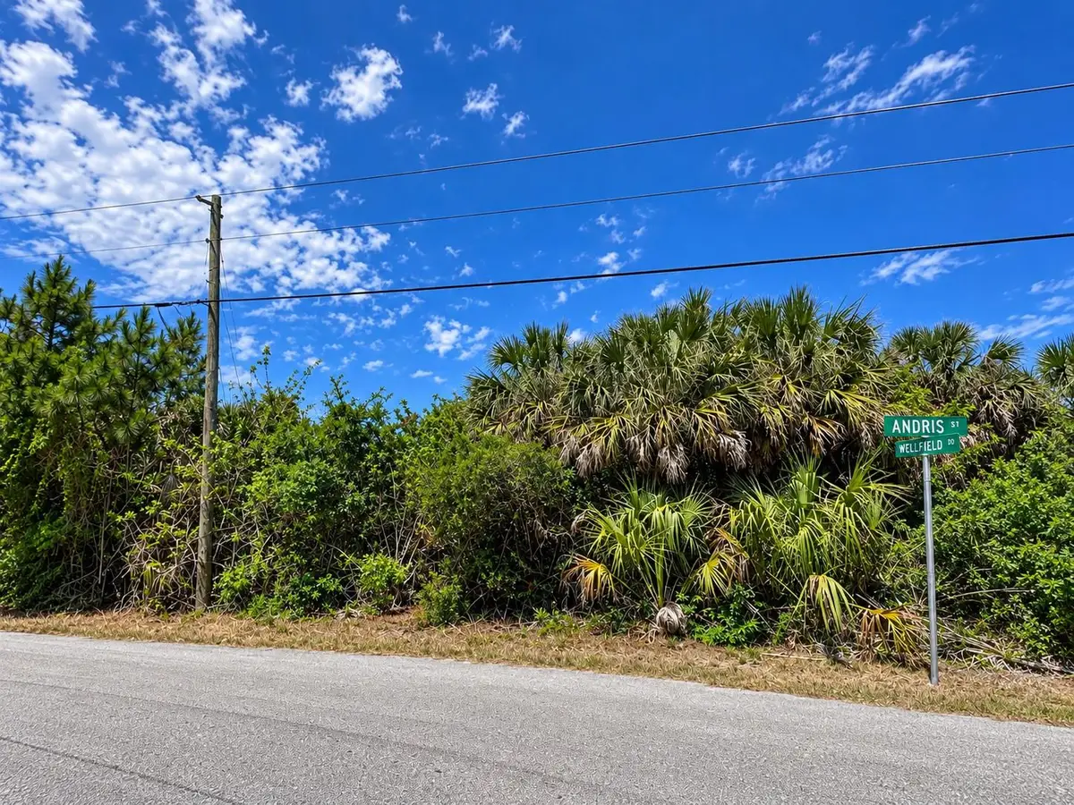 Andris Street, North Port, FL 34288 - #1