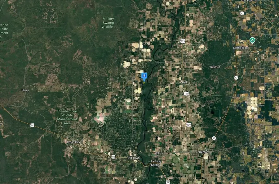 255 Ne 879th Street, Old Town, FL 32680 - #3