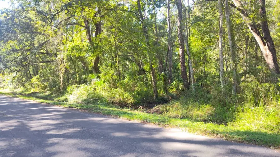 19289 Center Street, Brooksville, FL 34601 - #3