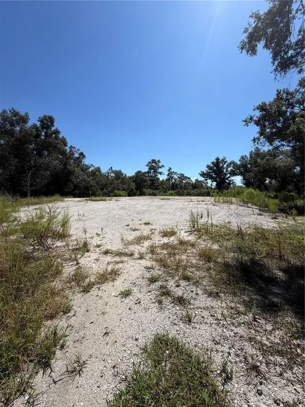 1428 E Charles Street, ARCADIA, FL 34266