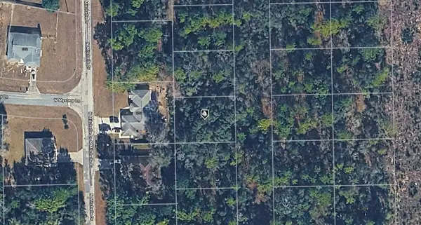9750 N Galium Terrace, CITRUS SPRINGS, FL 34434