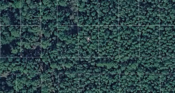 302 Siesta Drive, GEORGETOWN, FL 32139
