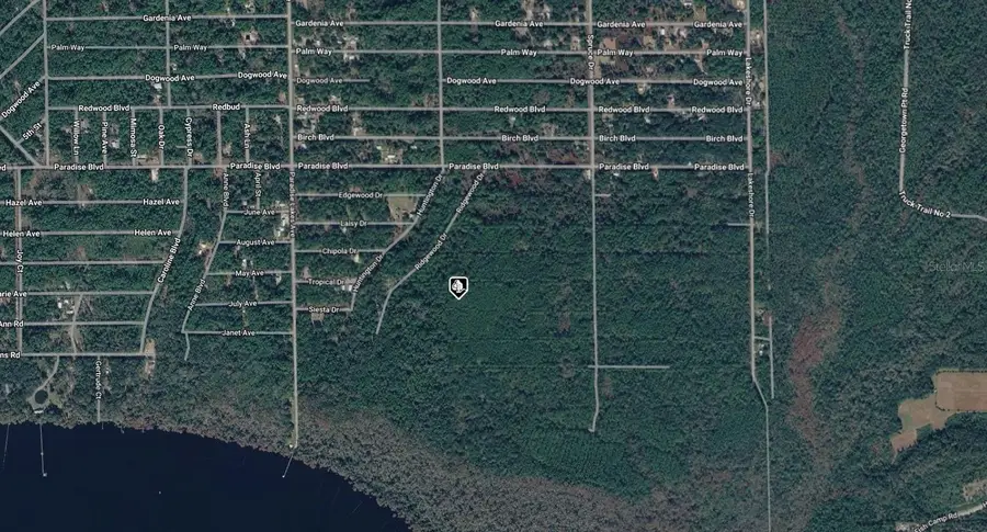 302 Siesta Drive, Georgetown, FL 32139 - #3