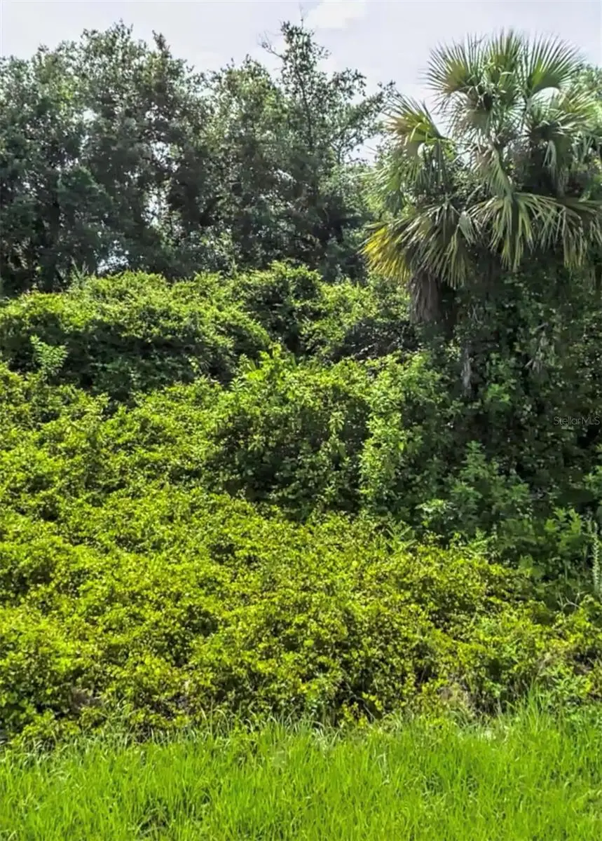 Rushmore Street, North Port, FL 34288 - #2